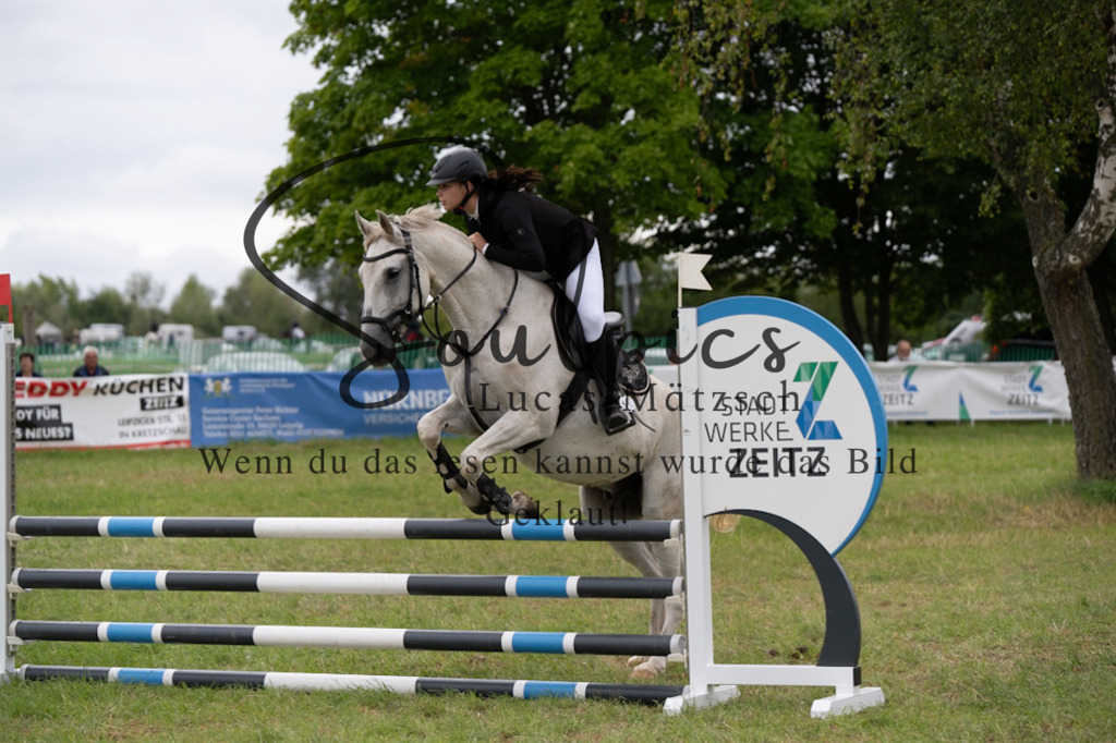 A7V05559 | Pferdefotograf