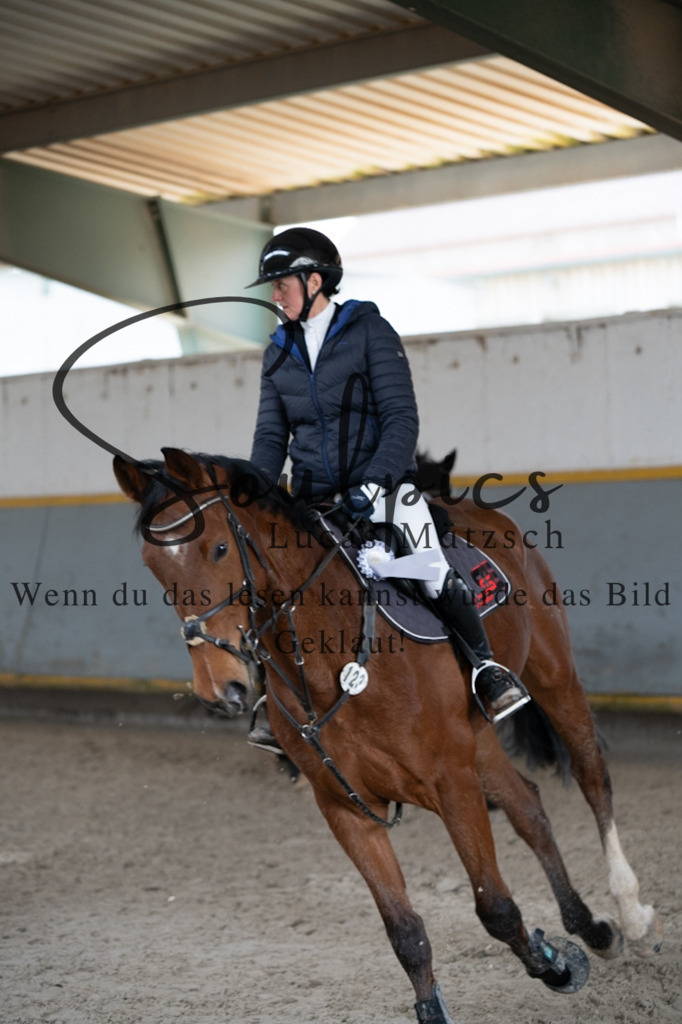 A7V03767 | Pferdefotograf