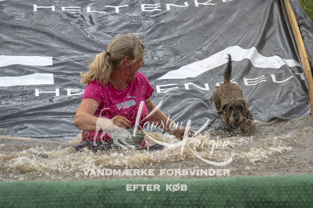 1541_ZZ94999 | kk-dogfotos