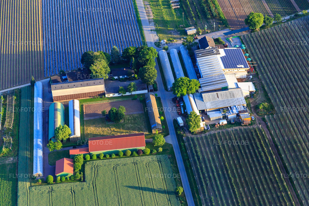 Luftbild: Zapf Hofmarkt in Kandel im Bundesland Rheinland-Pfalz in Deutschland. Foto: IMG_080888.jpg vom 13.06.2015 durch Werner Riehm/FLY-FOTO.deHofmarkt Zapf Kandel