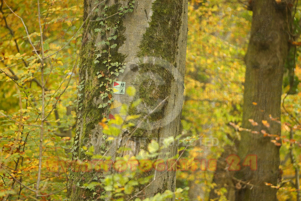 251026_1155_EX2_4528 | Eventfotografie 24Sport- und Eventfotografie