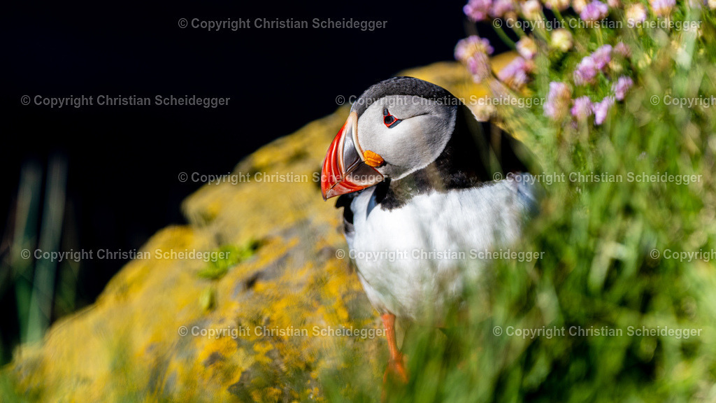 A6408562 | Schöne Fotoprints und andere Fotobilderprodukte, frei konfigurierbar - Realisiert mit Pictrs.com