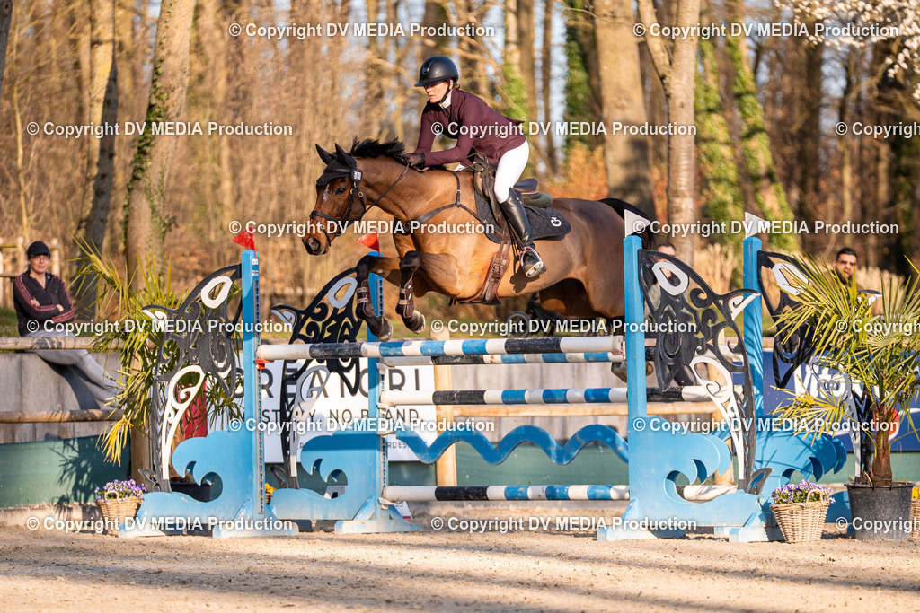 Kranichstein Tag 2-1098 | dv-media-shop - Realisiert mit Pictrs.com