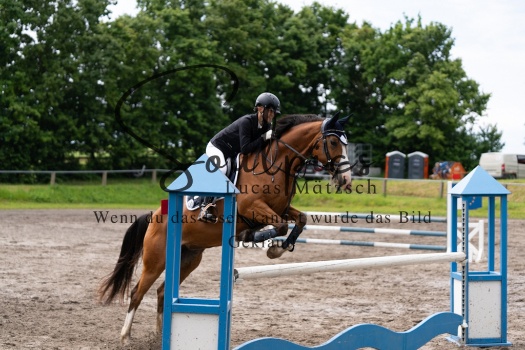 A7V04129 | Pferdefotograf