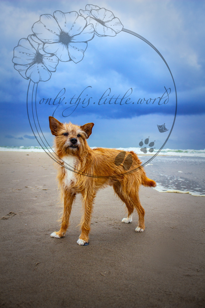 Versuch 01 | only.this.little.world - Realisiert mit Pictrs.com