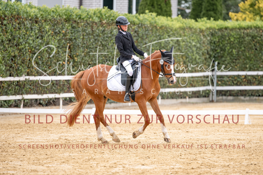 Schugtsche-Aluta25-40.DressurprfA_-425 | Schugtsche Fotografie - Realisiert mit Pictrs.com