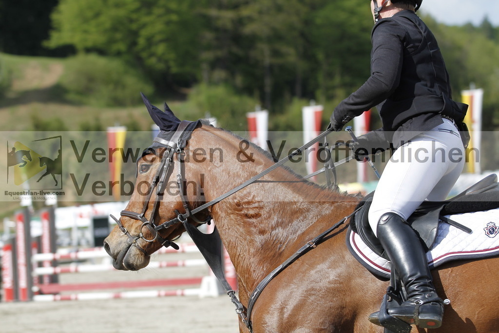 _MG_7886 | equestrian-live-com