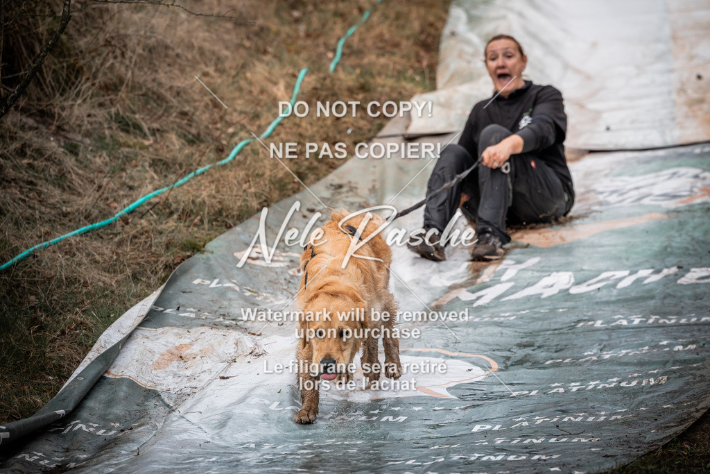 nelerasche_1330-1400_130 | nelerasche