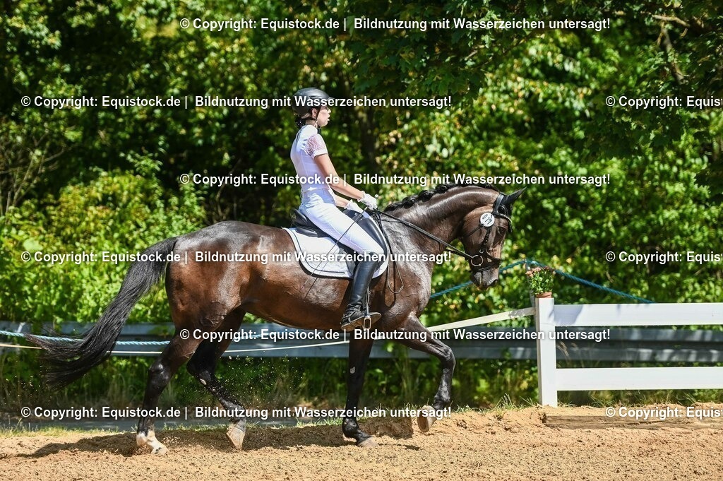 20230715_02_Dressurreiterprüfung Kl.L_0049 | equistock