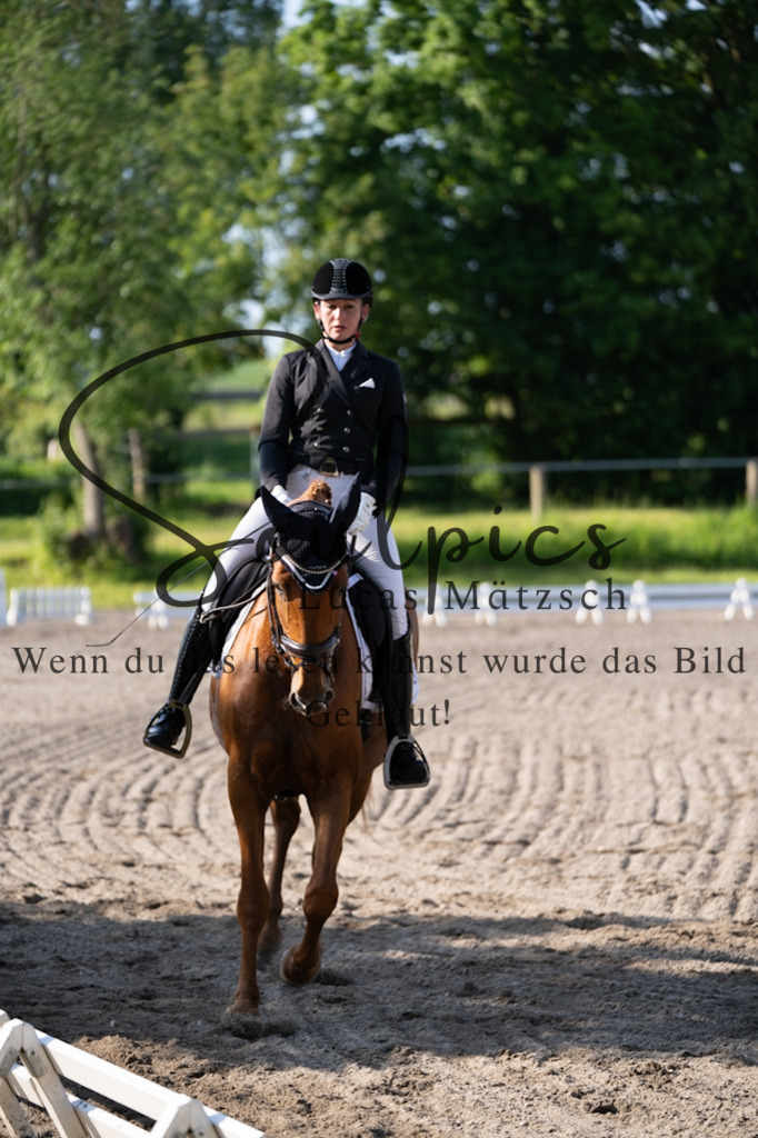 A7V02223 | Pferdefotograf