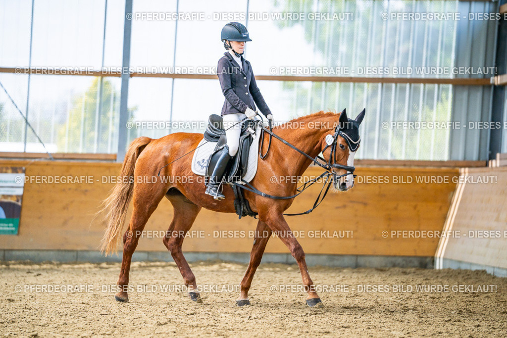 DSC04255 | Pferdegrafie