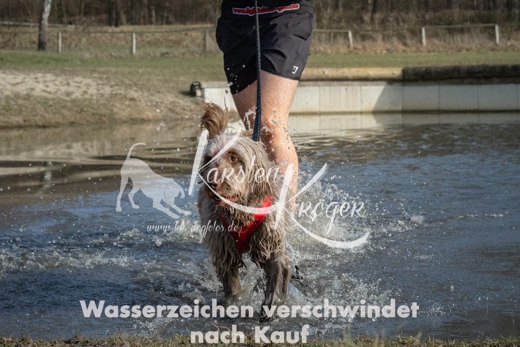 1446_ZZ90953 | kk-dogfotos