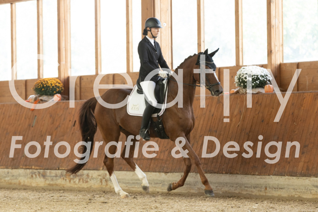 IMG_1263 | Creatify Fotografie