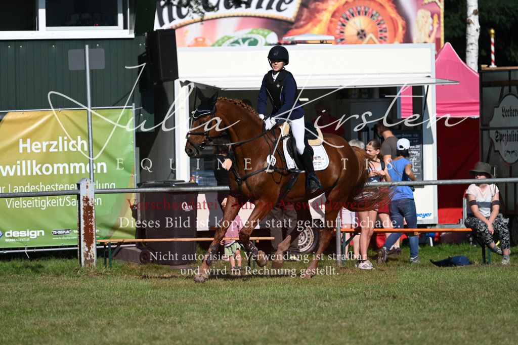 DSC_5121 | Pferde- und Turnierfotografie in Westsachsen. Pferdeportraits, Auftragszeichnungen und intuitive Kunst.