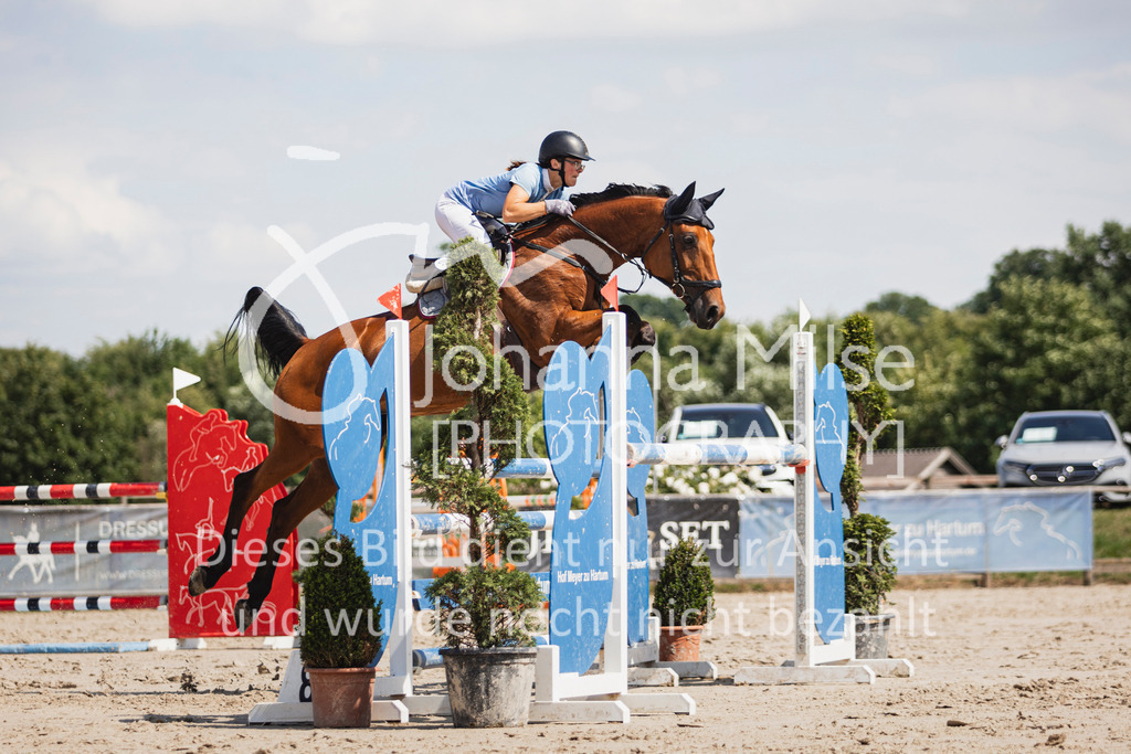 250629_PfSpTa_2Ph-M1-795 | Deine schönsten Turniermomente als professionelle Fotos! Entdecke hochwertige Pferdesport-Fotografie im Online-Shop. Jetzt Fotos finden & bestellen!