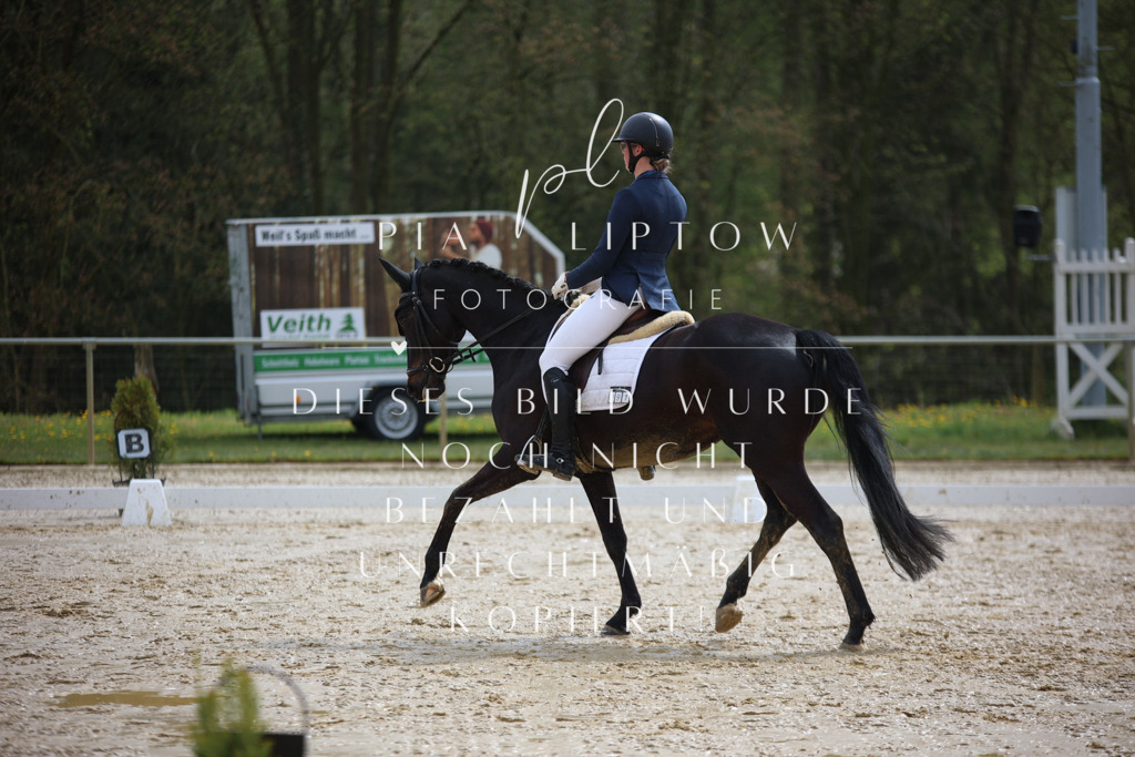 IMGT2708 | pl-fotografie