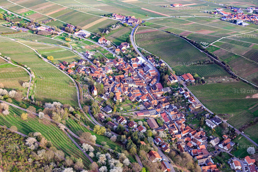 Luftbild: Dorfansicht aus Nordwesten in Leinsweiler im Bundesland Rheinland-Pfalz in Deutschland. Foto: IMG_131158.jpg vom 12.04.2022 durch Werner Riehm/FLY-FOTO.deLeinsweiler - wo die Pfalz am schönsten ist