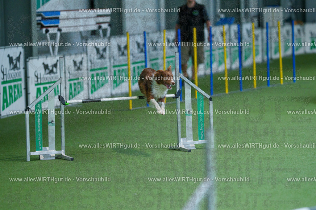 @allesWIRTHgut_Tierfotografie - www.allesWIRTHgut.de - 2604261527-7R505655 | Professionelle Tierfotografie in Mönchengladbach von Daniel Wirth (allesWIRTHgut). Liebevolle & natürliche Bilder von Hunden & Katzen für unvergessliche Erinnerungen.