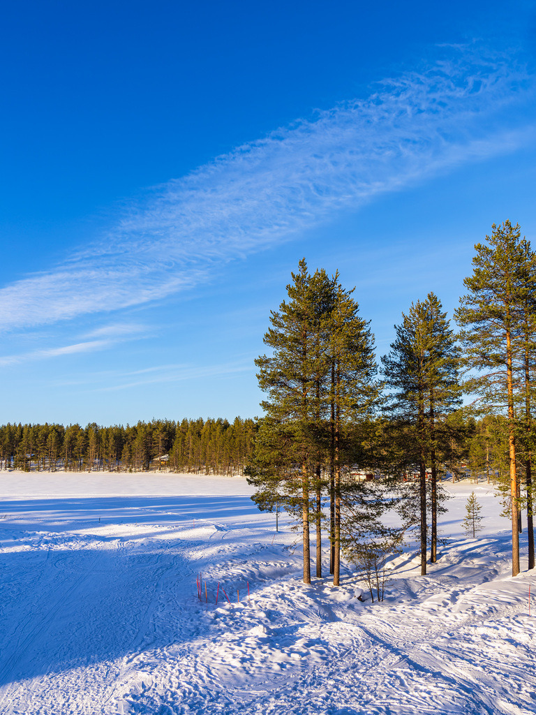 Landschaft mit Schnee im Winter in Kuusamo, Finnland | Landschaft mit Schnee im Winter in Kuusamo, Finnland.