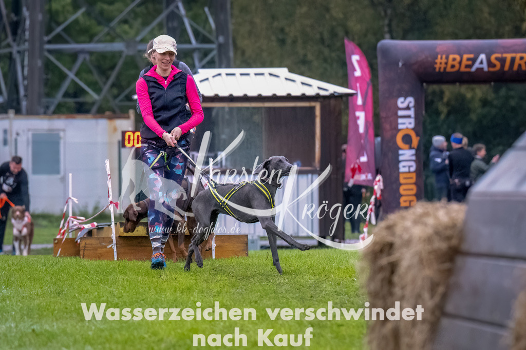 1024--12 | kk-dogfotos