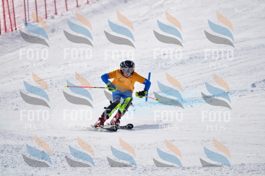 C9873 | holidayphoto