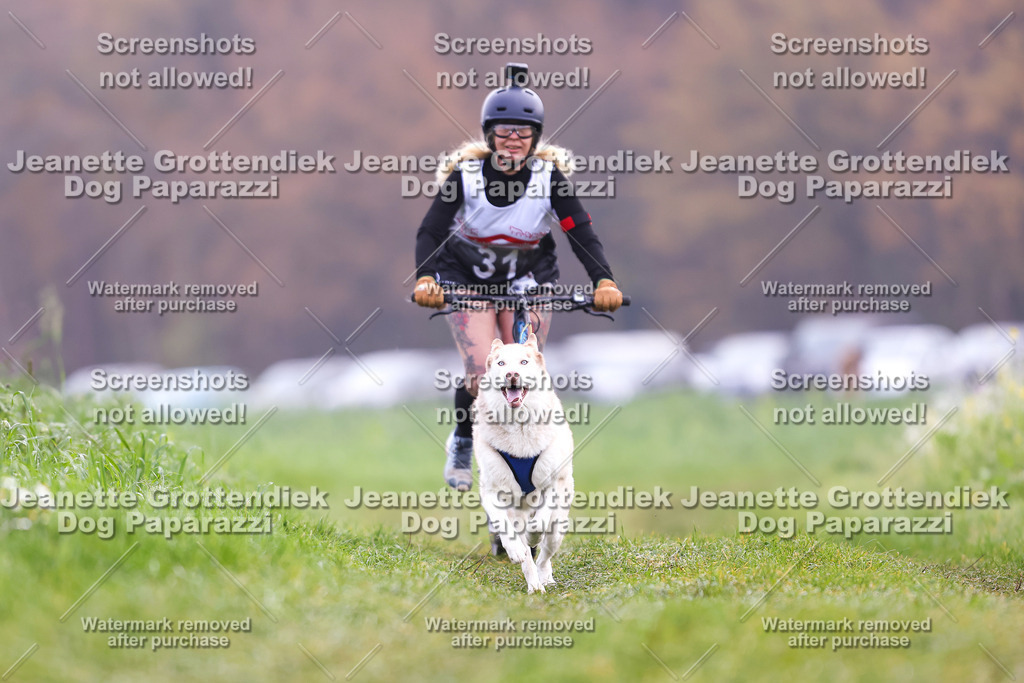 Dog Paparazzi - Visbeck 25 -325 | Dog Paparazzi Jeanette Grottendiek Fotografie & Videografie - Realisiert mit Pictrs.com