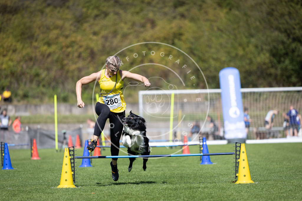 Pfotenfotografie_DV3A7068 | Hundefotografie, Tierfotograf, Pfotenfotografie, Fotoshooting Hund, Hunde Portrait, Hundesport, Hundeportraits, Heideshooting, Hunde, Sportfotograf, Hundefotograf, Turnierhundsport, THS,  - Realisiert mit Pictrs.com