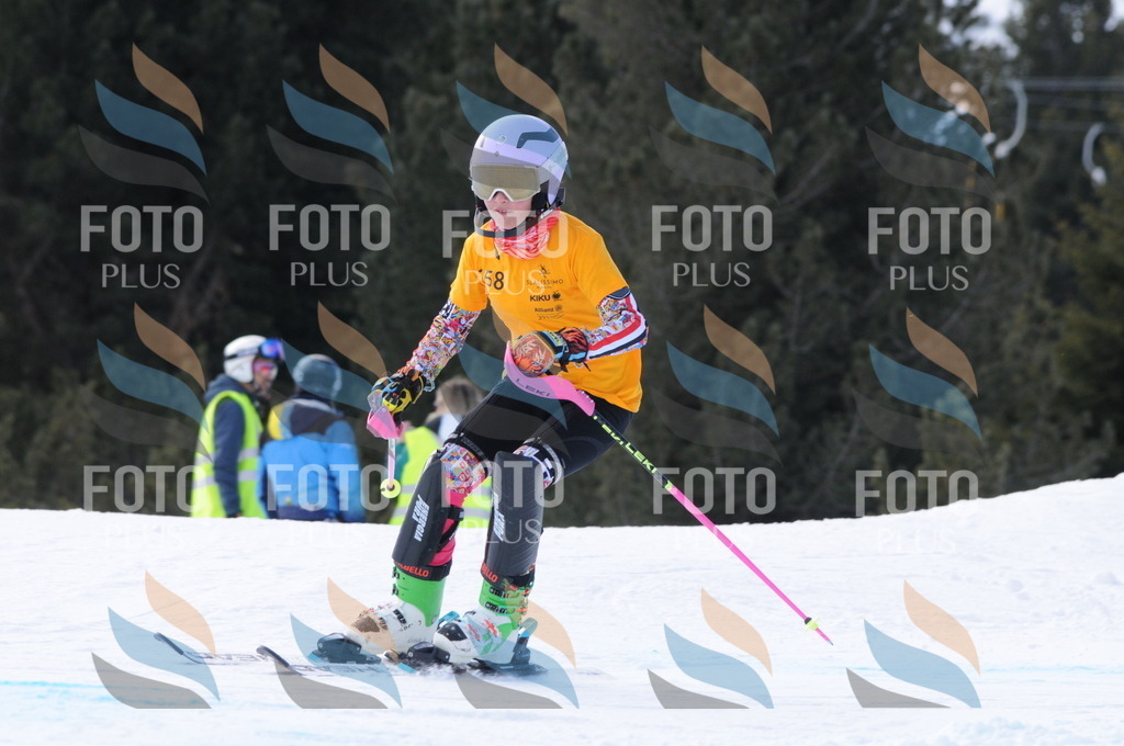 C7327 | holidayphoto