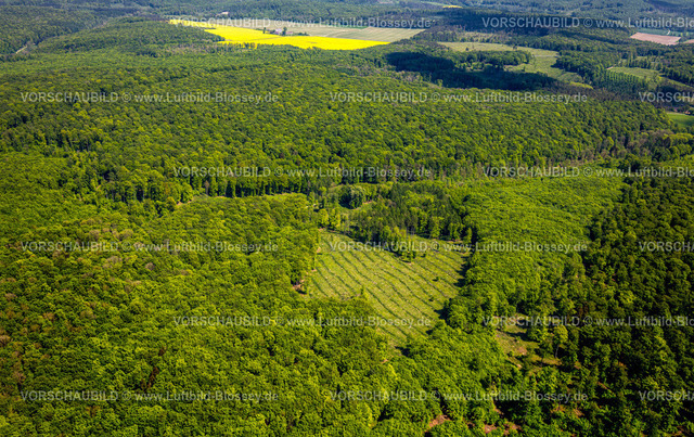 Brakel240504760NSG-HinnenburgerForst | Luftbild, NSG Naturschutzgebiet Hinnenburger Forst mit Emder Bachtal, herzförmige Lichtung, Alhausen, Bad Driburg, Ostwestfalen, Nordrhein-Westfalen, Deutschland