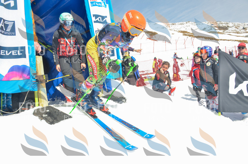 _ELE6427 | holidayphoto