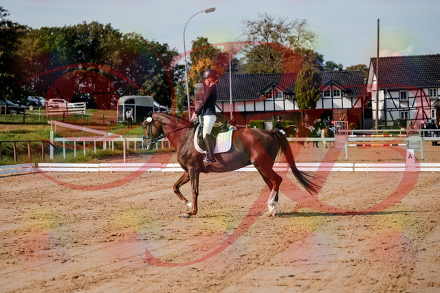 2026_10_03_Siefer-Hof_114730_Z63_26514907 | Professionelle Reitsport-, Turnier- und Eventfotografie von Robert Broda. Galerien mit ausgewählten und bearbeiteten Bildern direkt online ansehen und bestellen.
