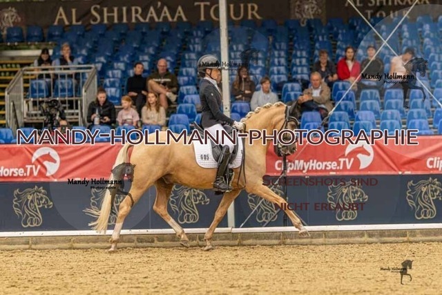 28-8-26 5j DRE-502 | mandyhollmannphotographie