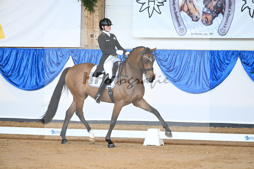 Kloessinger_Fidibaldi_10231909 | hf-fotografie - Realizzato con Pictrs.com