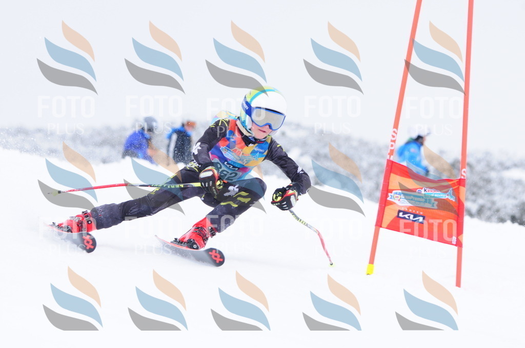 C3865 | holidayphoto