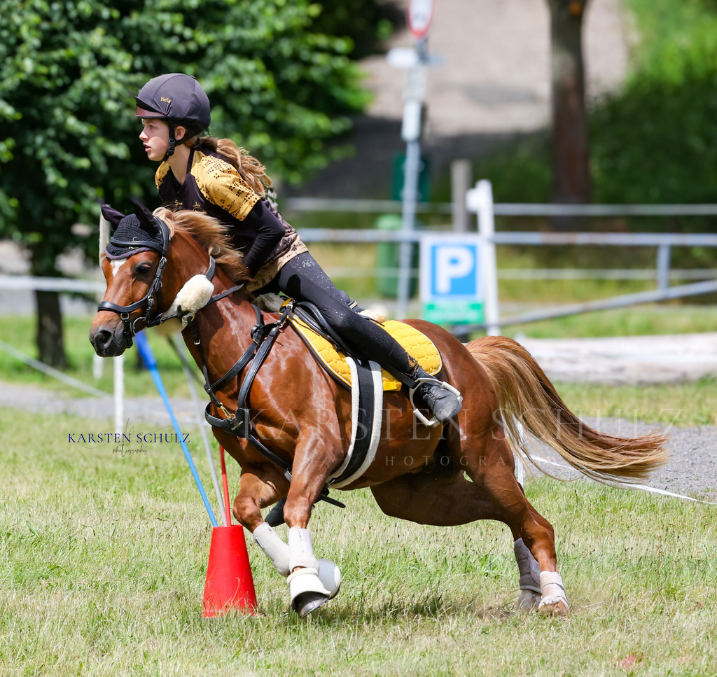 1B3A0593 | Reitsport Reiten