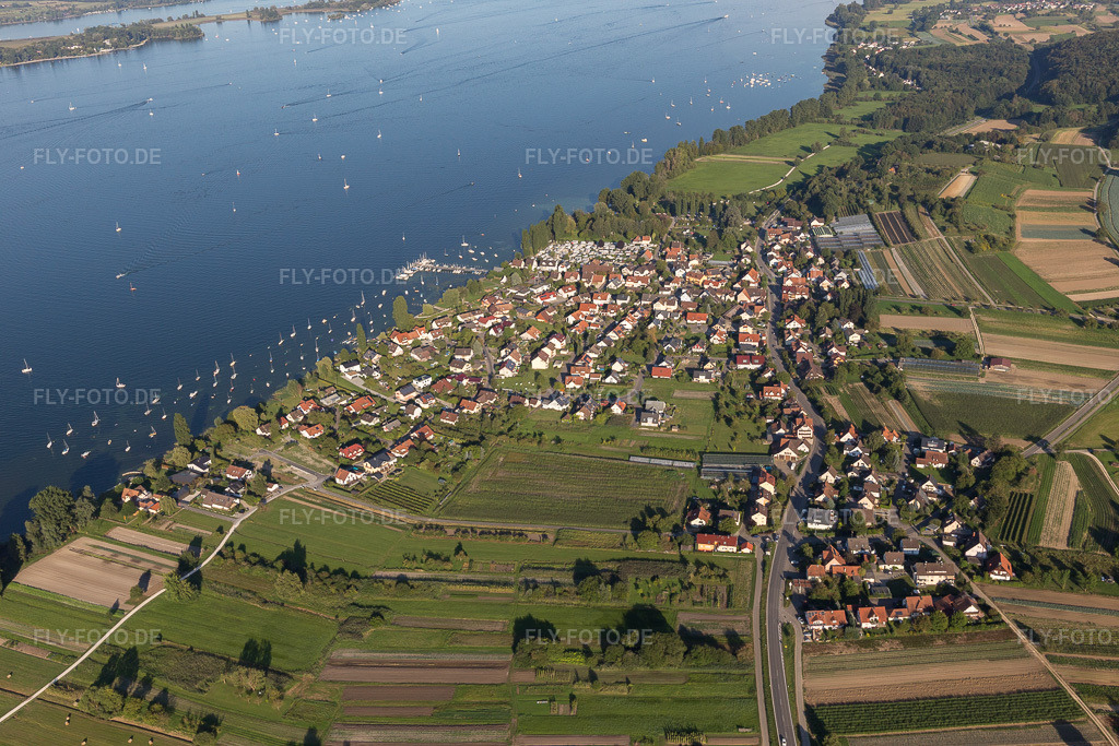Luftbild: See- Uferbereichen des Bodensee mit Yachthafen und Segelschule im Ortsteil Iznang in Moos im Bundesland Baden-Württemberg in Deutschland. Foto: IMG_094299.jpg vom 27.08.2016 durch Werner Riehm/FLY-FOTO.de