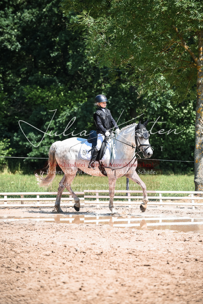 DSC_3100 | Pferde- und Turnierfotografie in Westsachsen. Pferdeportraits, Auftragszeichnungen und intuitive Kunst.