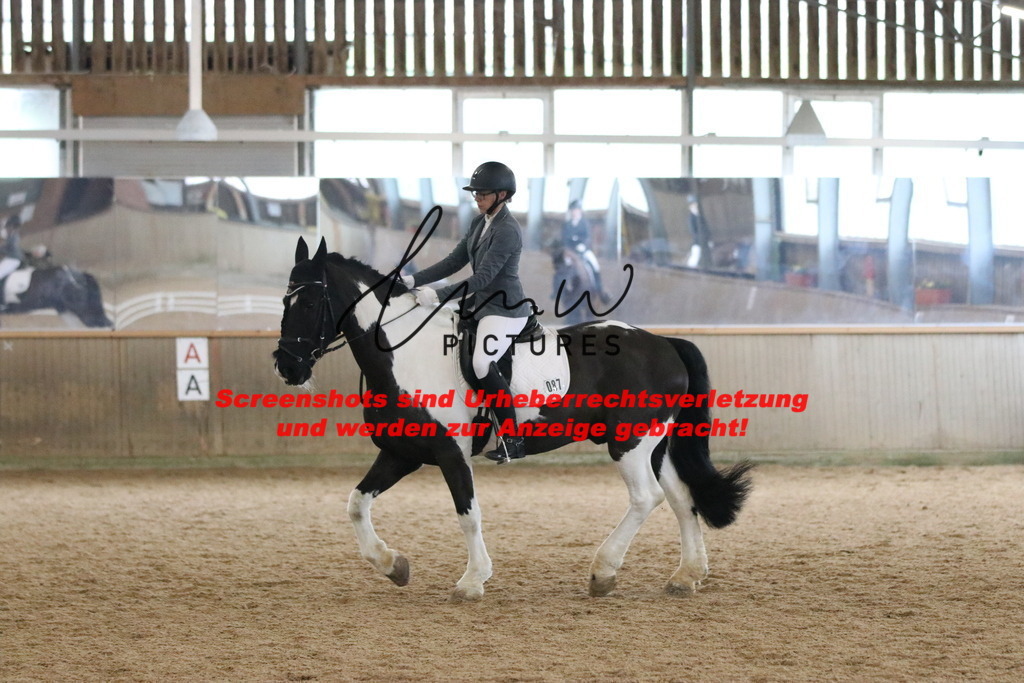 IMG_6801 | lmwpictures - Realisiert mit Pictrs.com