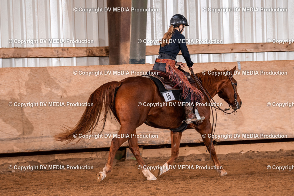 Balingen Tag 2-1422 | dv-media-shop - Realisiert mit Pictrs.com