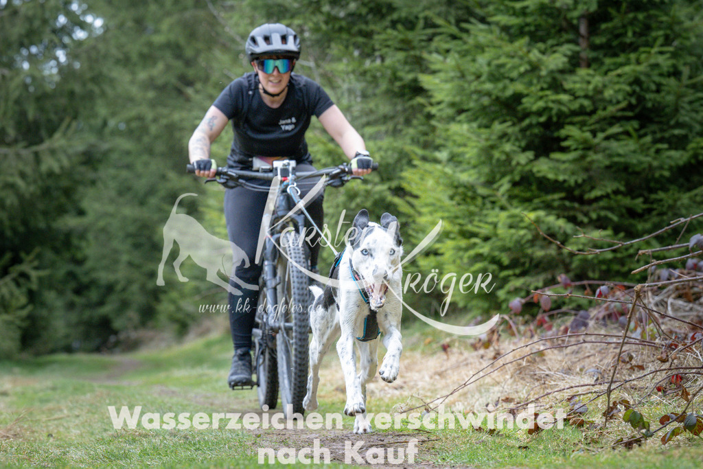 1311_ZZ93947 | kk-dogfotos