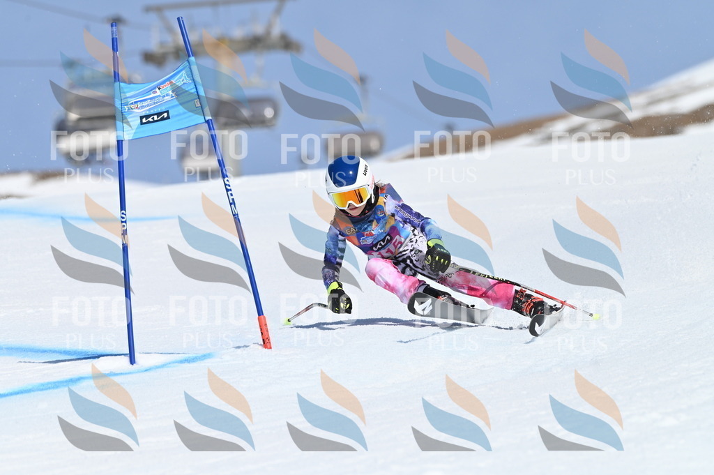 BGV_9718 | holidayphoto