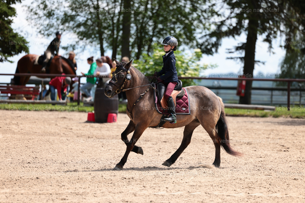 KlasseA_Stoibphotography_C2_L5687.JPG | working equitationturnier fotograf videograf stoibphotography marixx film working equitation deutschland reitsport turnierfotografie eventfotografie equestrian events