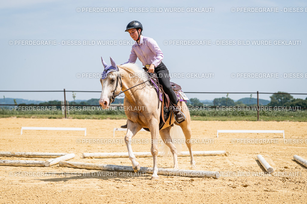 DSC01173 | Pferdegrafie