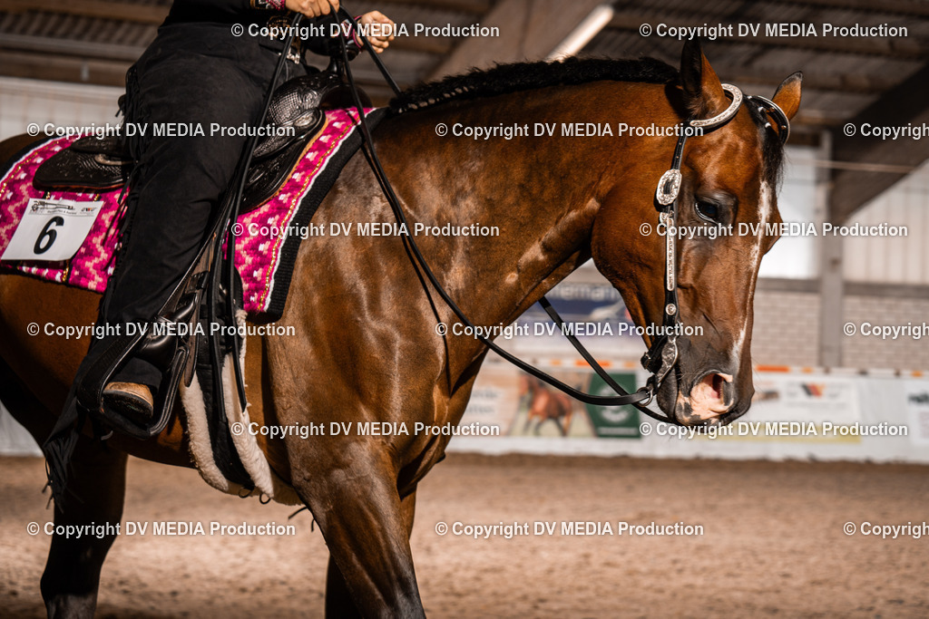 ZH300042 | dv-media-shop - Realisiert mit Pictrs.com