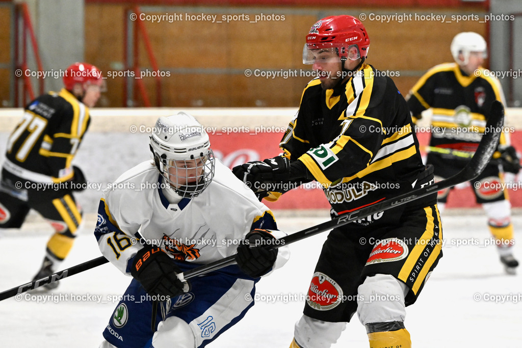 EC Tigers Paternion vs. Carintia Team | #16 Gietler Leon EC Tigers Paternion, #7 Krmelj Miha Carinthian Team, EC Tigers Paternion vs. Carintia Team, EC Tigers Paternion vs. Carintia Team am 29.12.2025 in Spittal an der Drau (Eissportzentrum Spittal), Austria, (Photo by Bernd Stefan)