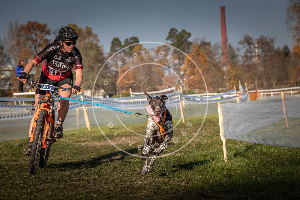 CaniXpix_0L8A6747 | Hundefotografie, Tierfotograf, Pfotenfotografie, Fotoshooting Hund, Hunde Portrait, Hundesport, Hundeportraits, Heideshooting, Hunde, Sportfotograf, Hundefotograf, Turnierhundsport, THS,  - Realisiert mit Pictrs.com