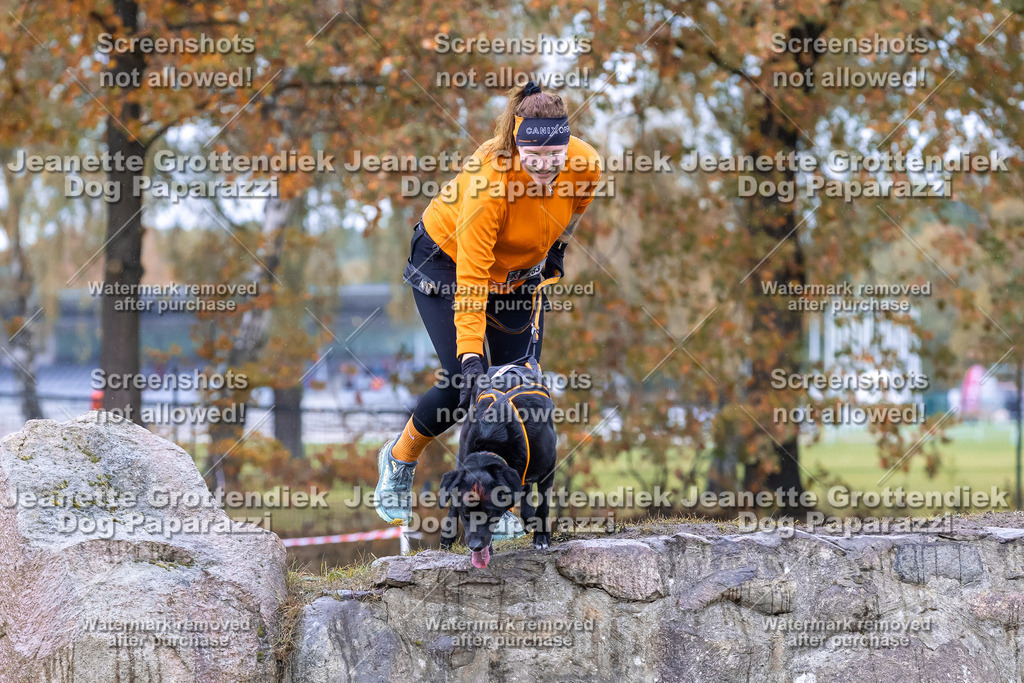 Dog Paparazzi - SD CaniX Championship 2025-825 | Dog Paparazzi Jeanette Grottendiek Fotografie & Videografie - Realisiert mit Pictrs.com