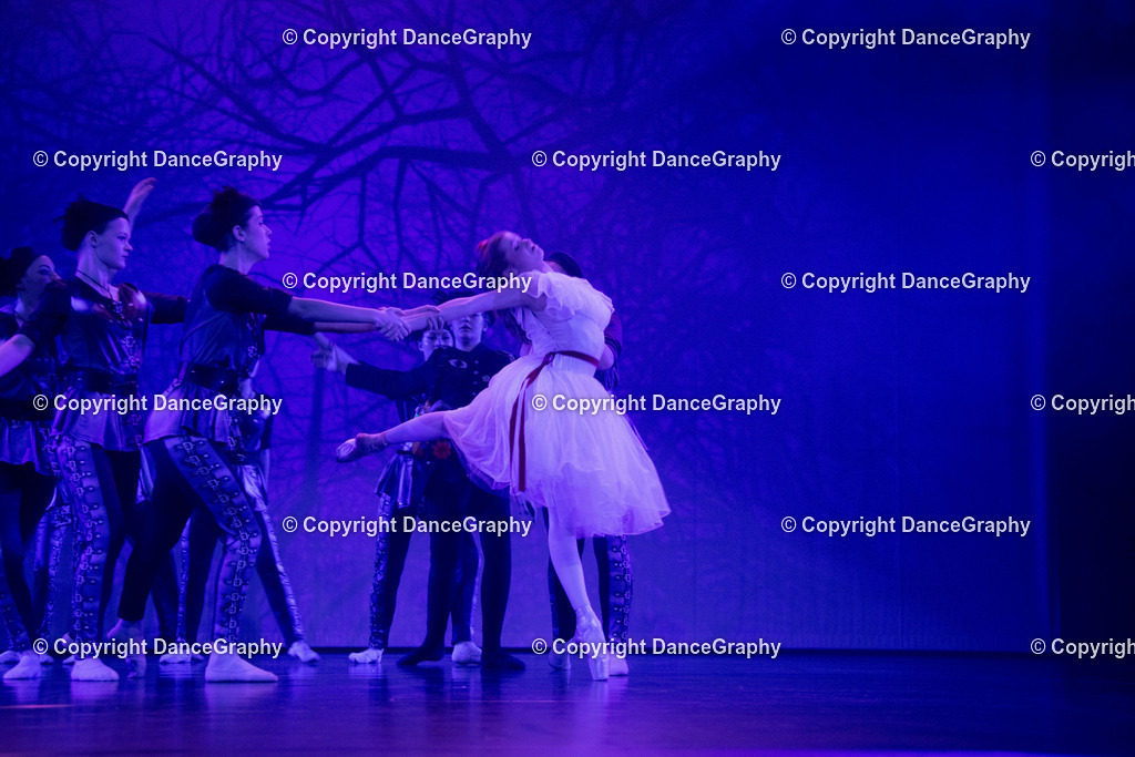 GPHY2748 | DanceGraphy - Realisiert mit Pictrs.com