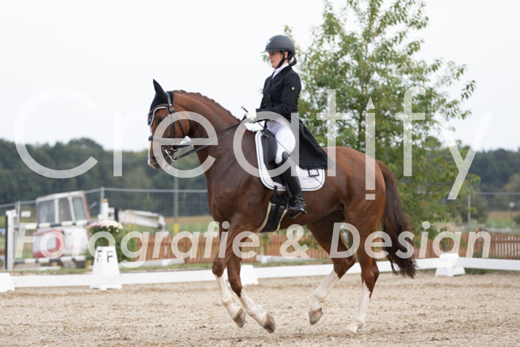 IMG_5674 | Creatify Fotografie