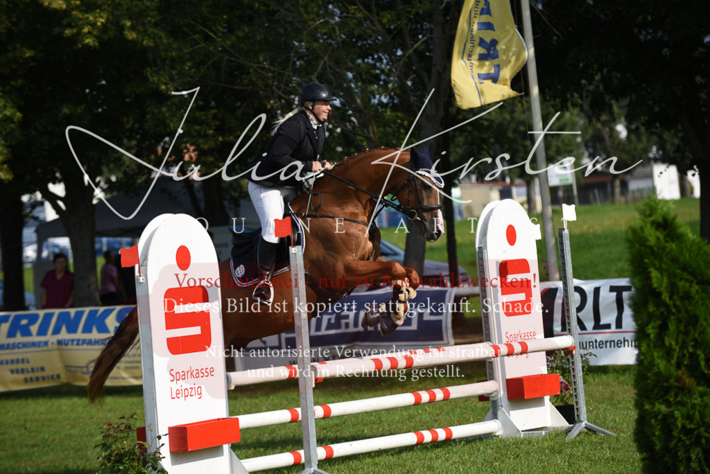 DSC_8708 | Pferde- und Turnierfotografie in Westsachsen. Pferdeportraits, Auftragszeichnungen und intuitive Kunst.